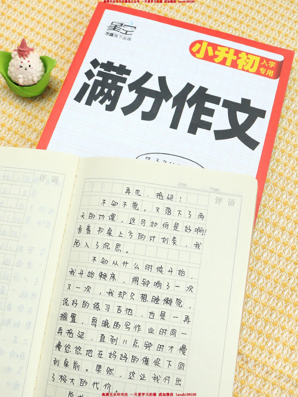 小学满分作文分享_2025抖音最火小学全科全年级资料大全集超完整版_小学作文VIP资源禁止外传