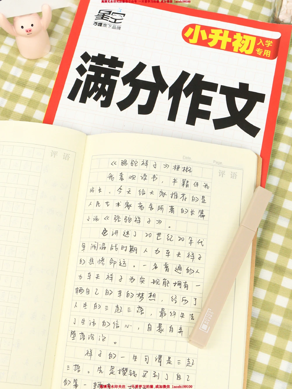 小学满分作文摘抄&mdash;《骆驼祥子》读后感_2025抖音最火小学全科全年级资料大全集超完整版_小学作文VIP资源禁止外传