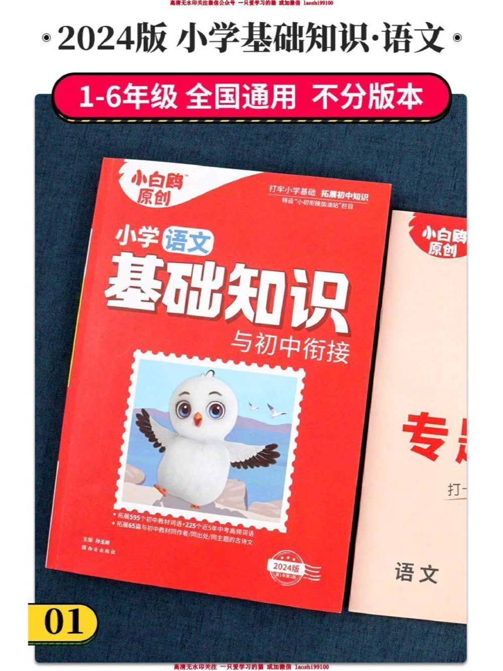 小学名著考点汇总-必看_2025抖音最火小学全科全年级资料大全集超完整版_小学语文VIP资源禁止外传