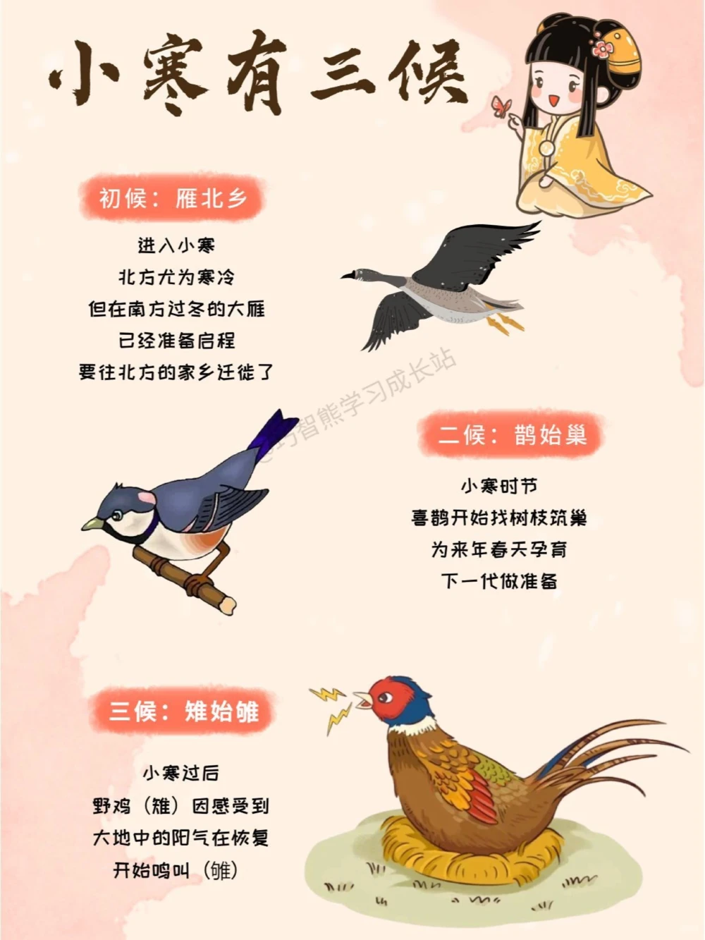 传统文化二十四节气之小寒，知识科普_中小学精品资料(高清可打印)_古文化大全集628份高清资料整理版