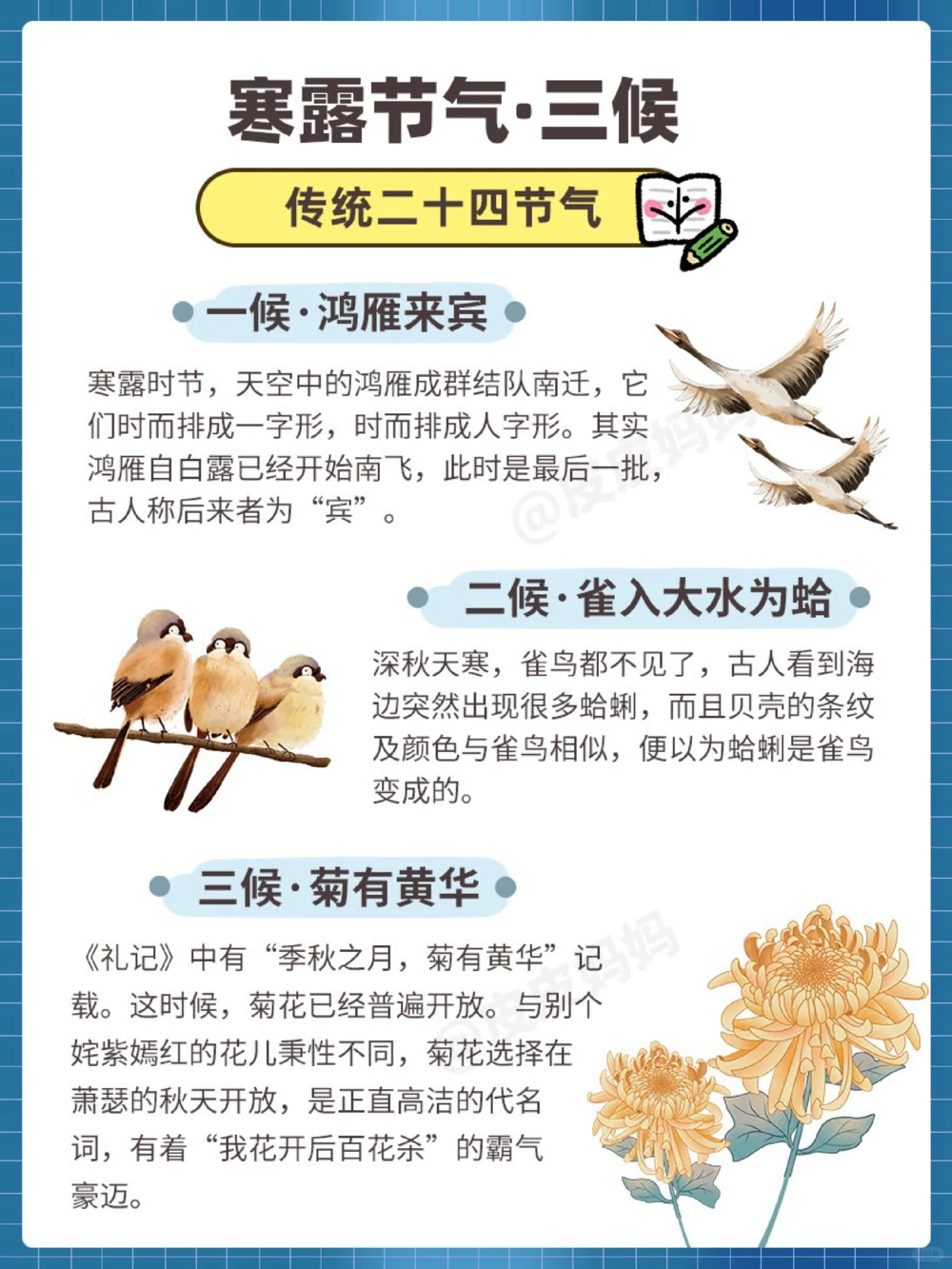 传统节气科普和孩子一起了解寒露小常识_中小学精品资料(高清可打印)_古文化大全集628份高清资料整理版