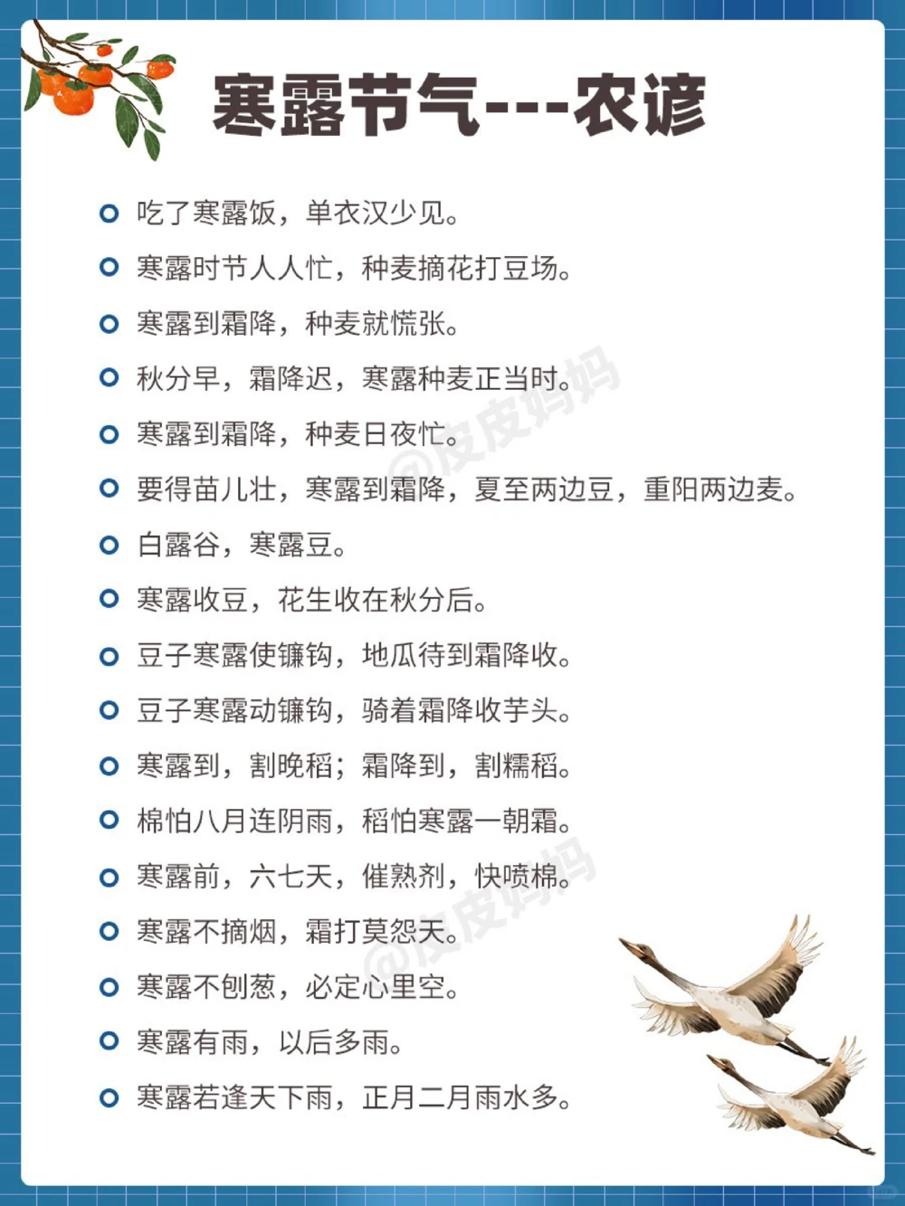 传统节气科普和孩子一起了解寒露小常识_中小学精品资料(高清可打印)_古文化大全集628份高清资料整理版