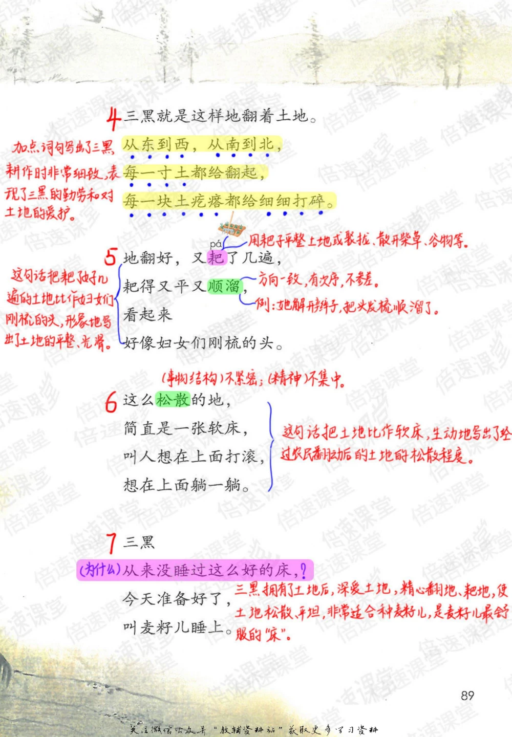 六年级上册语文部编版课堂笔记（倍速版）_小学初中学霸笔记类资料汇总6.33GB_小学同步课堂笔记2.76GB_1~6年级全册语文部编版课堂笔记