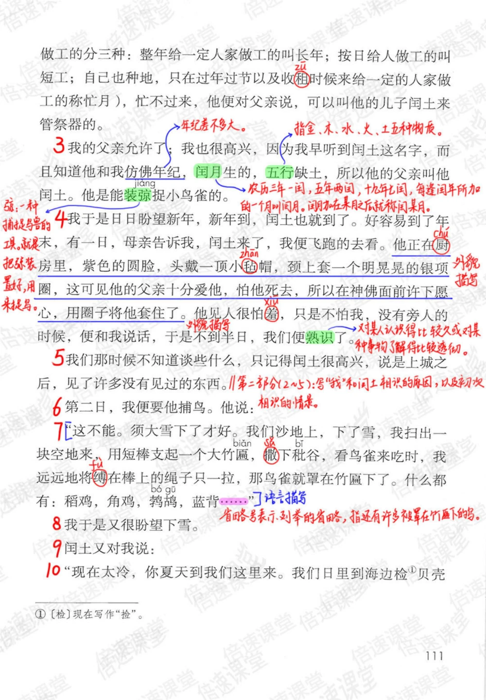 六年级上册语文部编版课堂笔记（倍速版）_小学初中学霸笔记类资料汇总6.33GB_小学同步课堂笔记2.76GB_1~6年级全册语文部编版课堂笔记