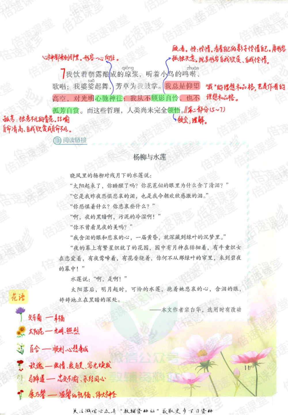 六年级上册语文部编版课堂笔记（倍速版）_小学初中学霸笔记类资料汇总6.33GB_小学同步课堂笔记2.76GB_1~6年级全册语文部编版课堂笔记