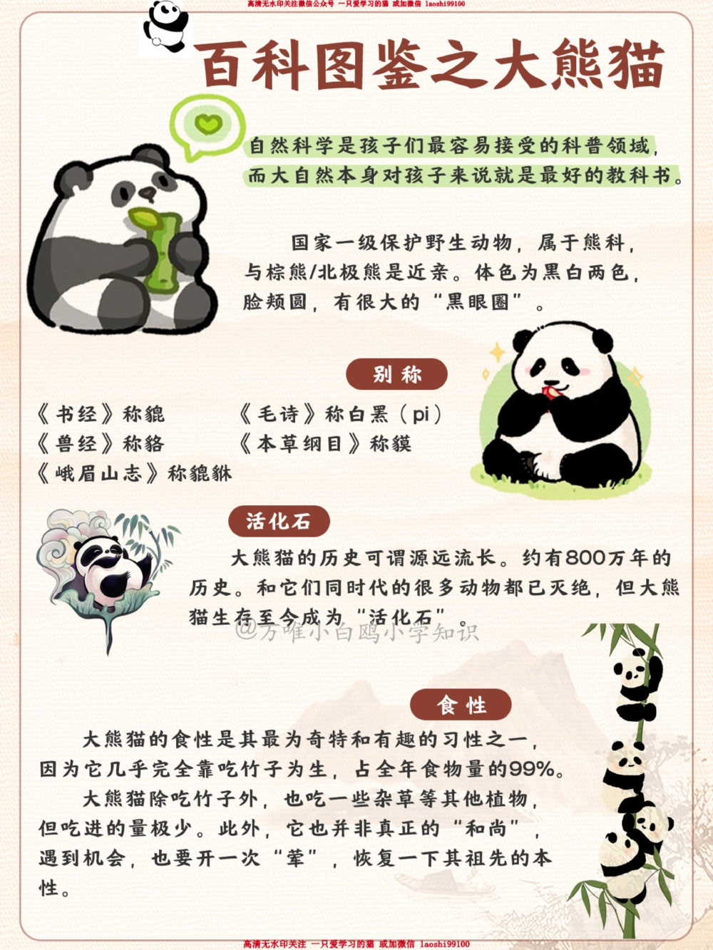 百科图鉴大熊猫居然有六根手指_2025抖音最火小学全科全年级资料大全集超完整版_小学常识VIP资源禁止外传