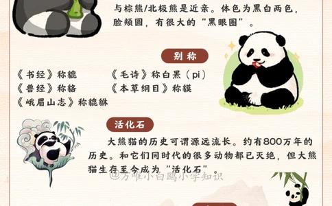 百科图鉴大熊猫居然有六根手指_2025抖音最火小学全科全年级资料大全集超完整版_小学常识VIP资源禁止外传
