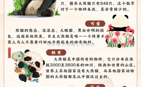 百科图鉴大熊猫居然有六根手指_2025抖音最火小学全科全年级资料大全集超完整版_小学常识VIP资源禁止外传