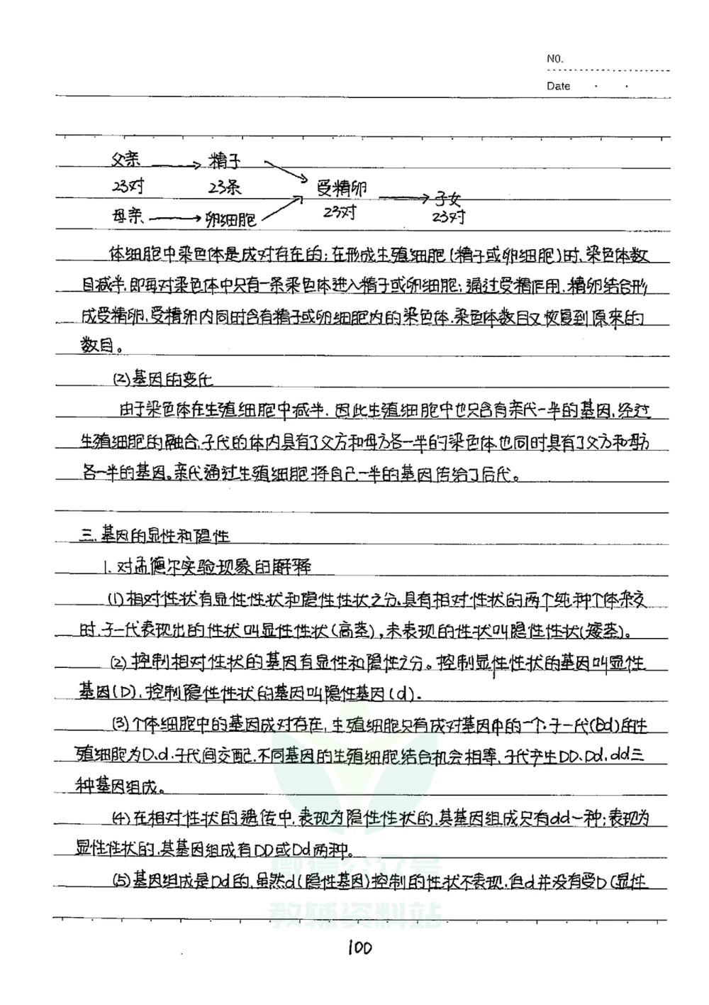 初中状元笔记生物_小学初中学霸笔记类资料汇总6.33GB_初中全科状元笔记900.07MB