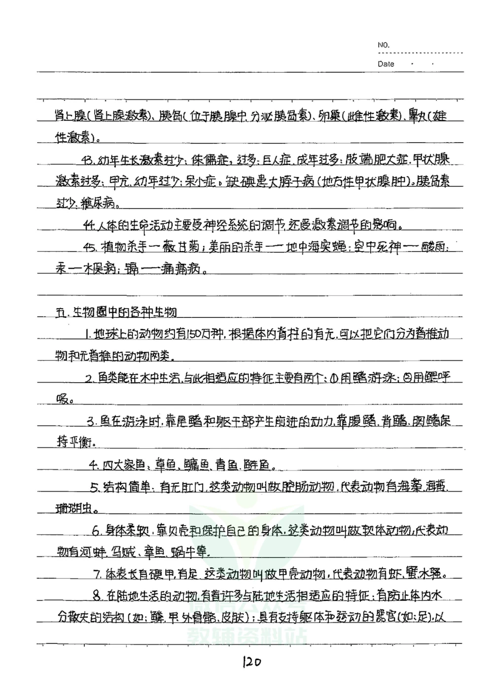 初中状元笔记生物_小学初中学霸笔记类资料汇总6.33GB_初中全科状元笔记900.07MB