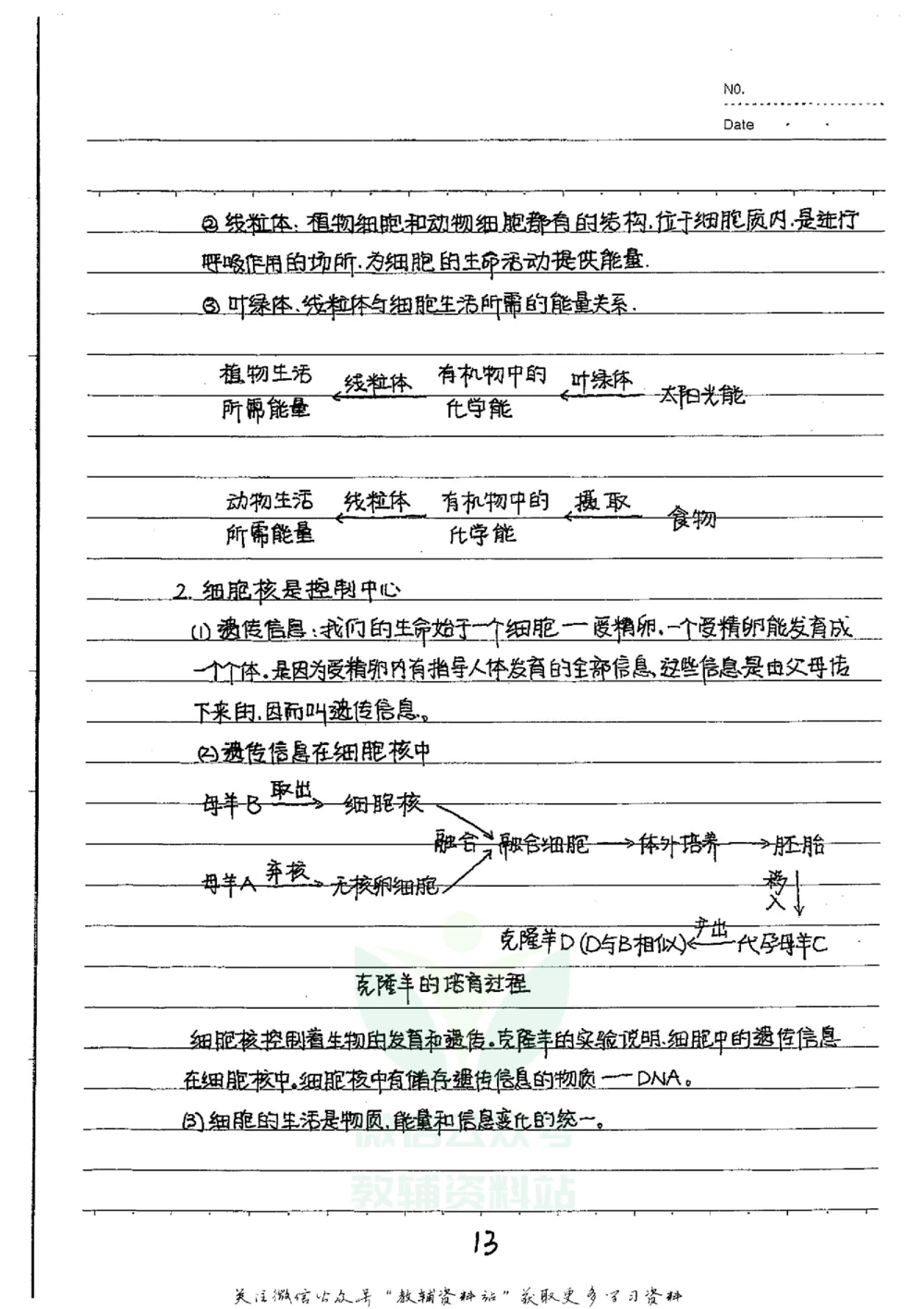初中状元笔记生物_小学初中学霸笔记类资料汇总6.33GB_初中全科状元笔记900.07MB