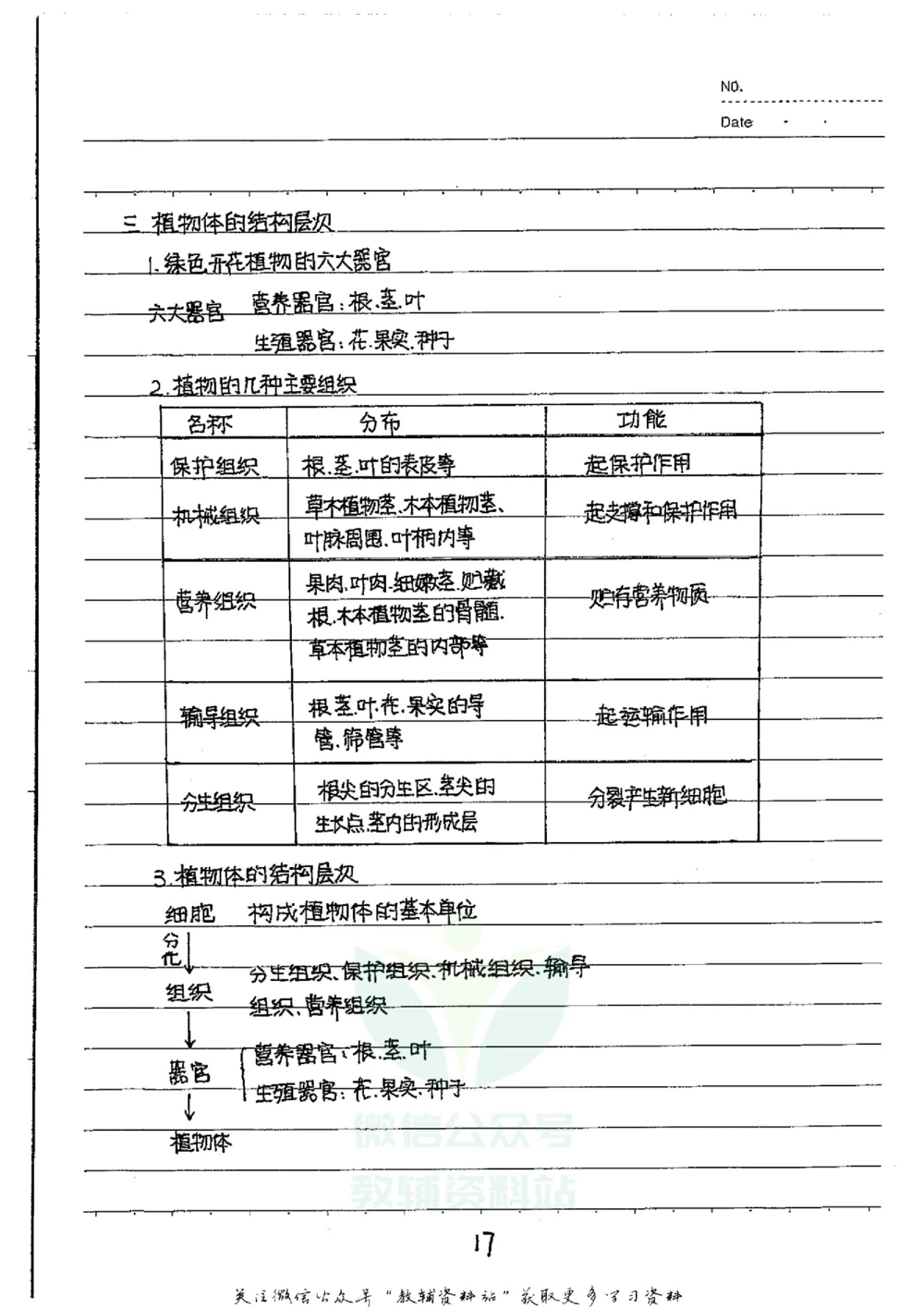 初中状元笔记生物_小学初中学霸笔记类资料汇总6.33GB_初中全科状元笔记900.07MB