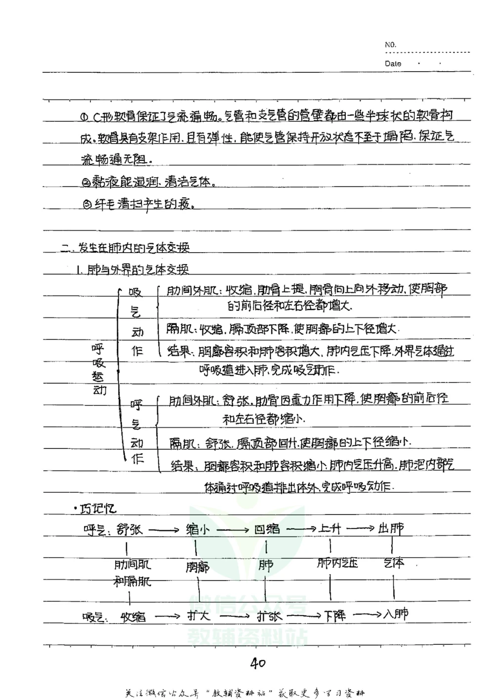 初中状元笔记生物_小学初中学霸笔记类资料汇总6.33GB_初中全科状元笔记900.07MB