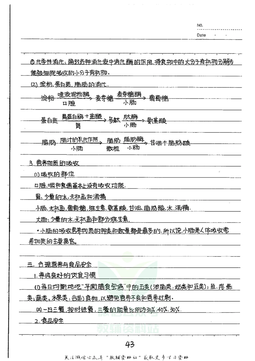 初中状元笔记生物_小学初中学霸笔记类资料汇总6.33GB_初中全科状元笔记900.07MB