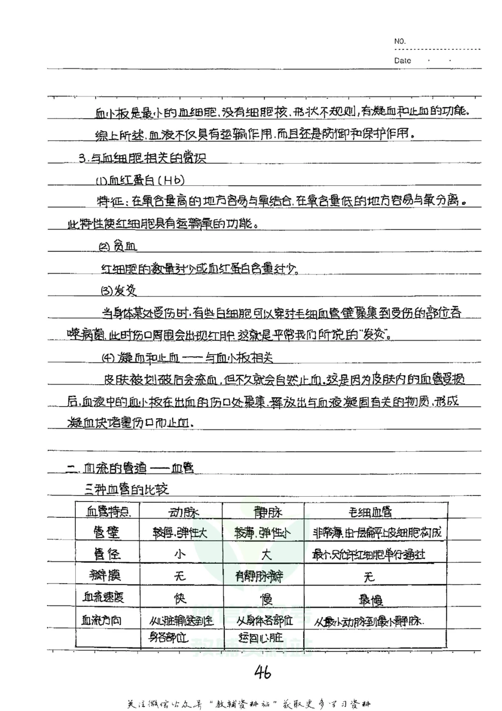 初中状元笔记生物_小学初中学霸笔记类资料汇总6.33GB_初中全科状元笔记900.07MB