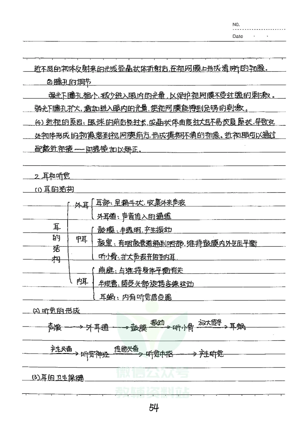 初中状元笔记生物_小学初中学霸笔记类资料汇总6.33GB_初中全科状元笔记900.07MB