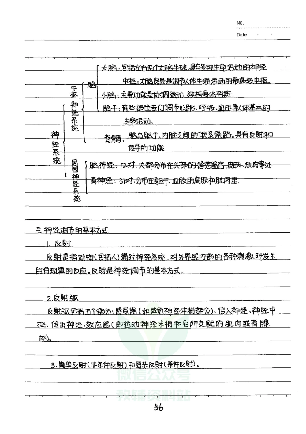 初中状元笔记生物_小学初中学霸笔记类资料汇总6.33GB_初中全科状元笔记900.07MB