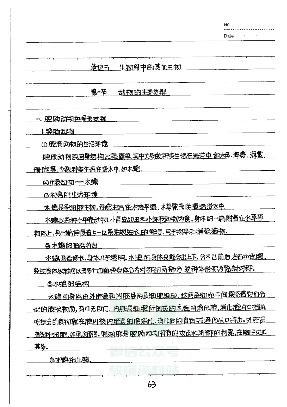 初中状元笔记生物_小学初中学霸笔记类资料汇总6.33GB_初中全科状元笔记900.07MB