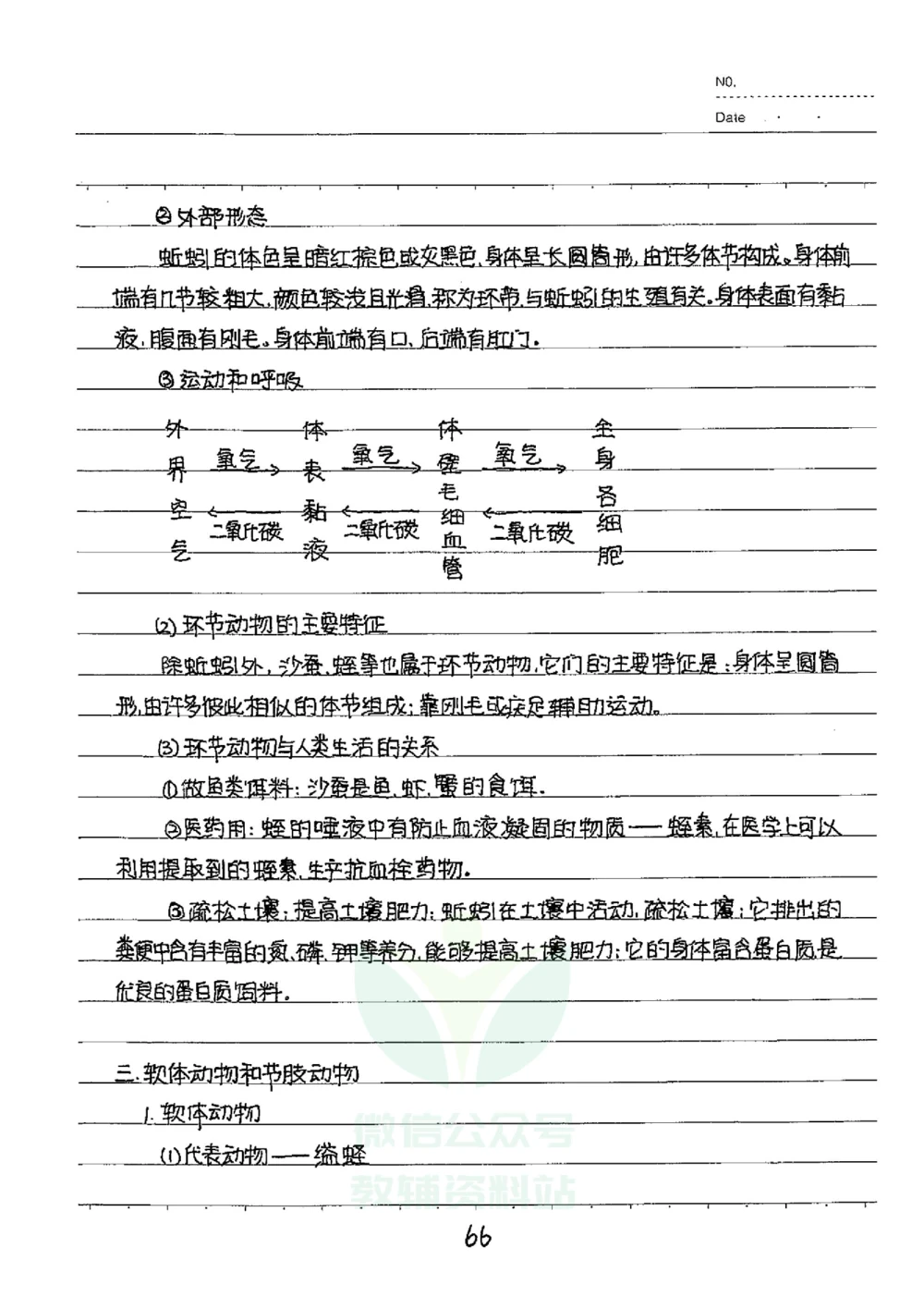 初中状元笔记生物_小学初中学霸笔记类资料汇总6.33GB_初中全科状元笔记900.07MB