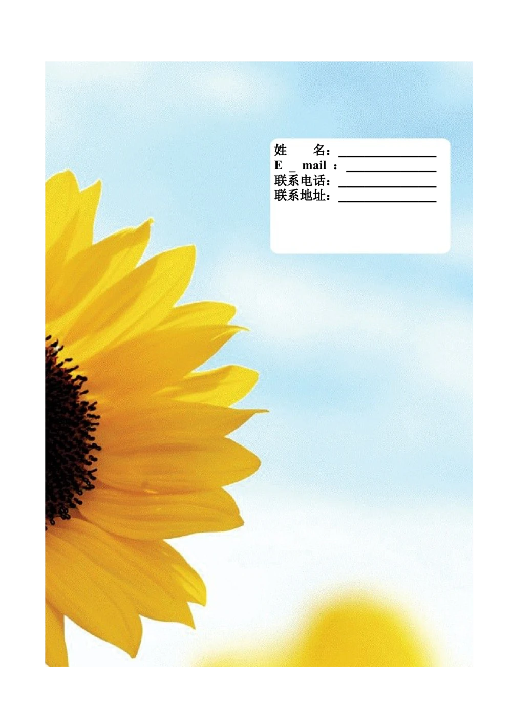 087.朝气葵花_表格式_适用于在职人员_1页式_无内容_有封面_26考研复试_10考研复试资料25_考研经典面试系列（复试技巧调剂指导口语指导自我介绍导师模板）_简历模板大全