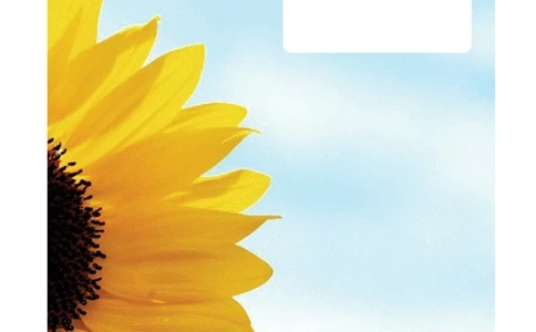 087.朝气葵花_表格式_适用于在职人员_1页式_无内容_有封面_26考研复试_10考研复试资料25_考研经典面试系列（复试技巧调剂指导口语指导自我介绍导师模板）_简历模板大全