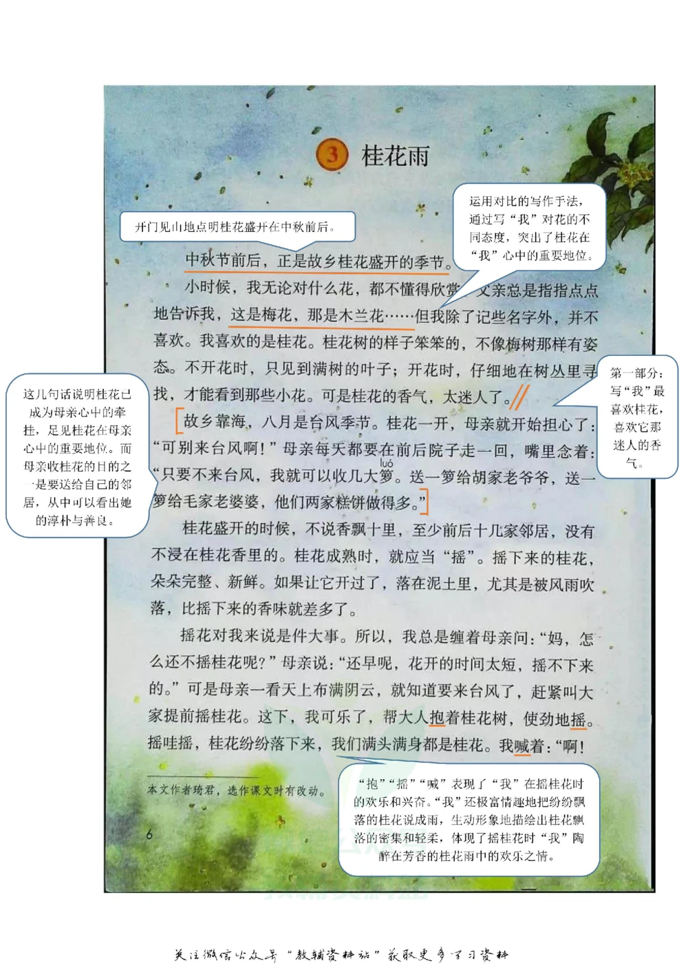 五年级上册语文部编版课堂笔记（飞翔版）_小学初中学霸笔记类资料汇总6.33GB_小学同步课堂笔记2.76GB_1~6年级全册语文部编版课堂笔记