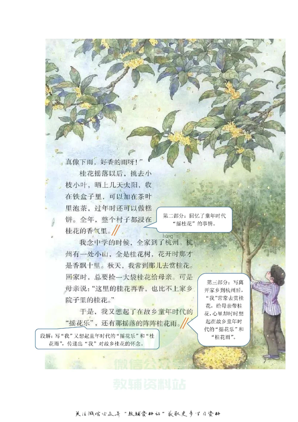 五年级上册语文部编版课堂笔记（飞翔版）_小学初中学霸笔记类资料汇总6.33GB_小学同步课堂笔记2.76GB_1~6年级全册语文部编版课堂笔记