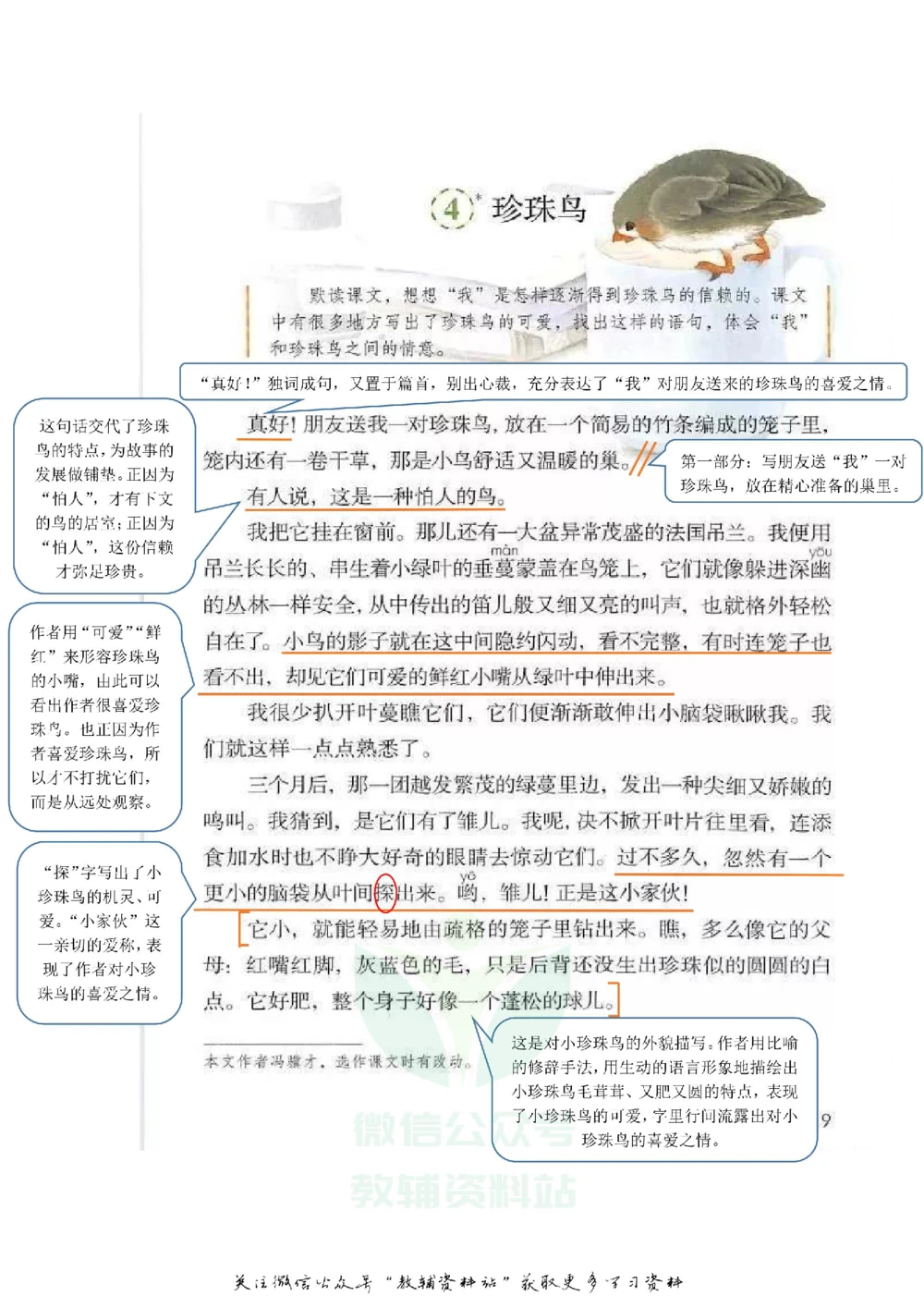 五年级上册语文部编版课堂笔记（飞翔版）_小学初中学霸笔记类资料汇总6.33GB_小学同步课堂笔记2.76GB_1~6年级全册语文部编版课堂笔记
