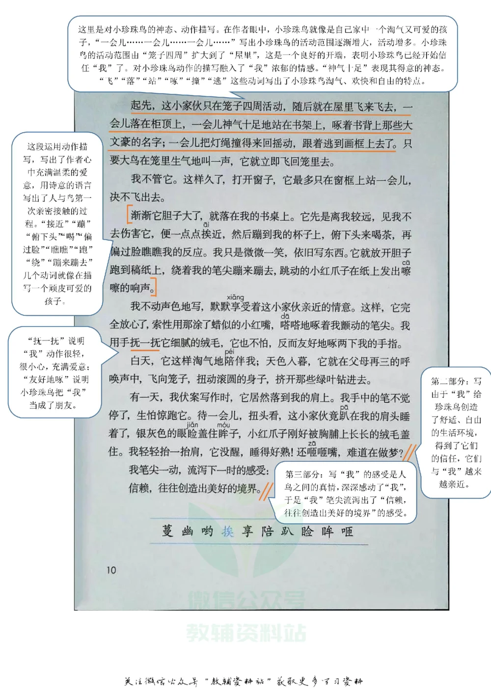 五年级上册语文部编版课堂笔记（飞翔版）_小学初中学霸笔记类资料汇总6.33GB_小学同步课堂笔记2.76GB_1~6年级全册语文部编版课堂笔记