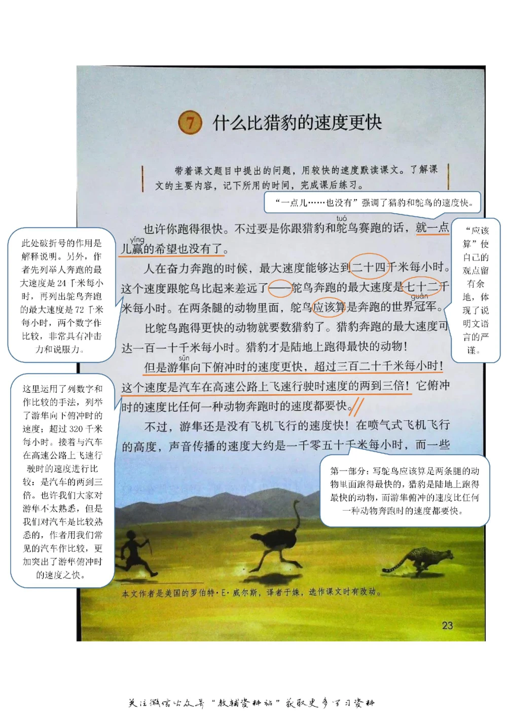 五年级上册语文部编版课堂笔记（飞翔版）_小学初中学霸笔记类资料汇总6.33GB_小学同步课堂笔记2.76GB_1~6年级全册语文部编版课堂笔记