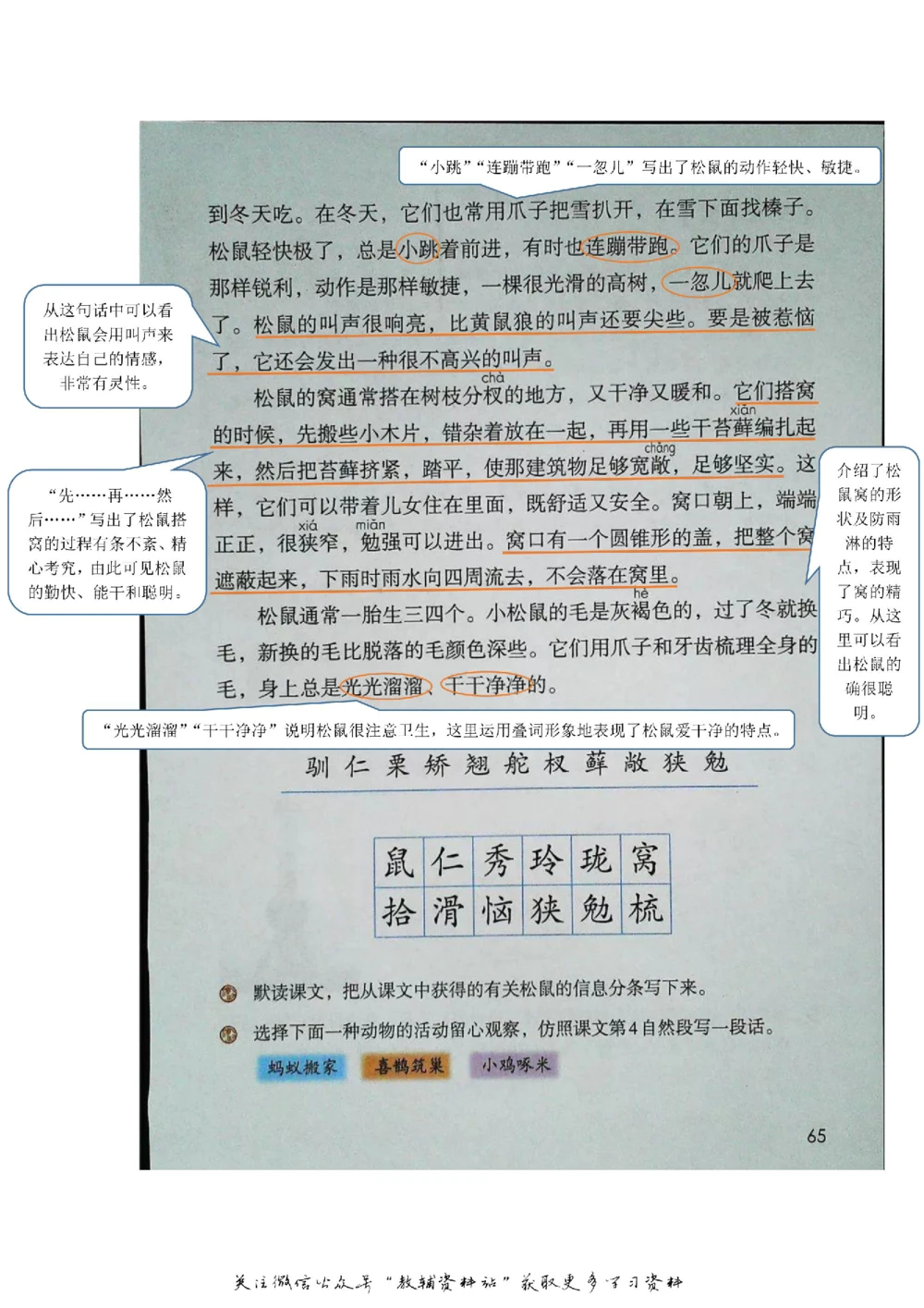 五年级上册语文部编版课堂笔记（飞翔版）_小学初中学霸笔记类资料汇总6.33GB_小学同步课堂笔记2.76GB_1~6年级全册语文部编版课堂笔记