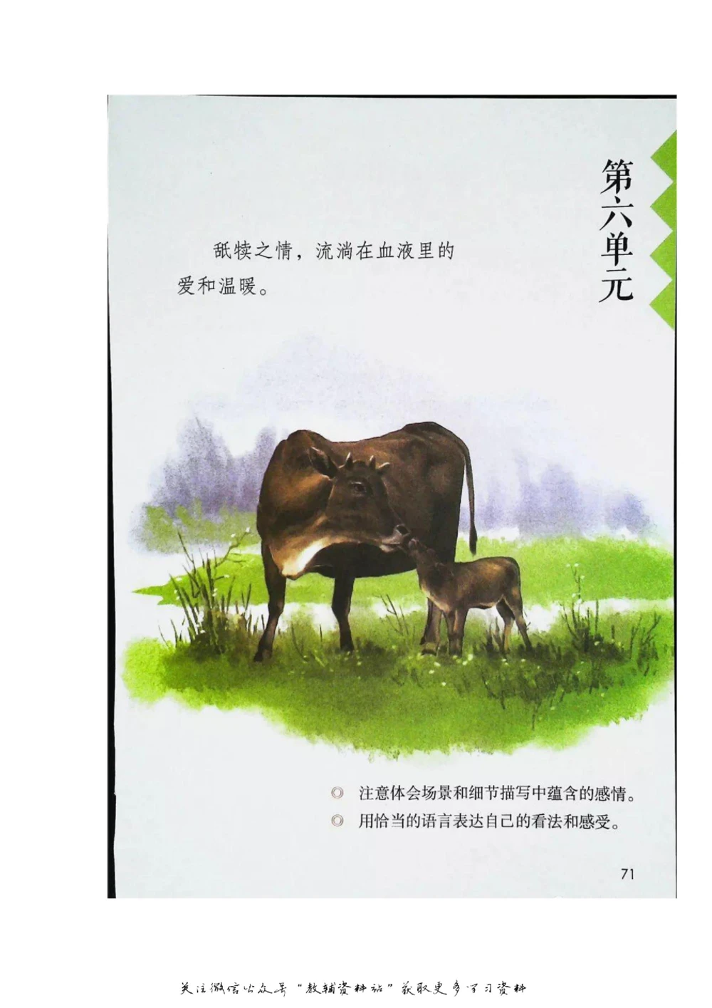 五年级上册语文部编版课堂笔记（飞翔版）_小学初中学霸笔记类资料汇总6.33GB_小学同步课堂笔记2.76GB_1~6年级全册语文部编版课堂笔记