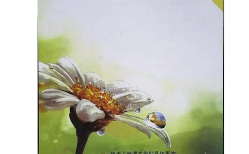 五年级上册语文部编版课堂笔记（飞翔版）_小学初中学霸笔记类资料汇总6.33GB_小学同步课堂笔记2.76GB_1~6年级全册语文部编版课堂笔记