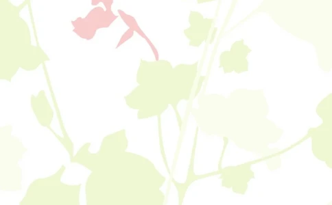 017.清雅叶子_表格式_适用于应届生_2页式_无内容_无封面_26考研复试_10考研复试资料25_考研经典面试系列（复试技巧调剂指导口语指导自我介绍导师模板）_简历模板大全