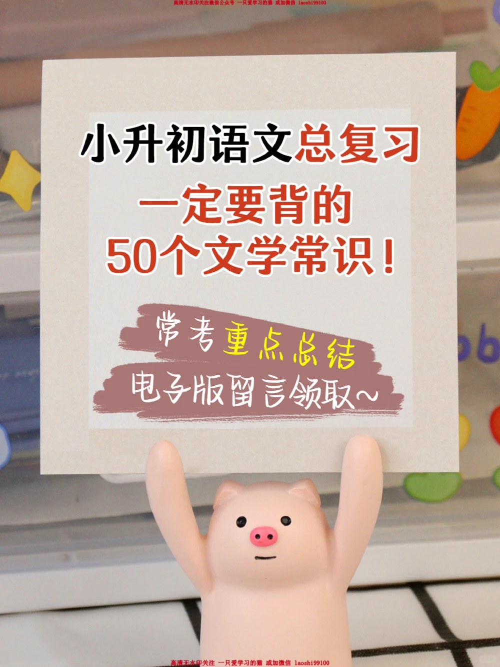 小升初语文常考知识点汇总_2025抖音最火小学全科全年级资料大全集超完整版_小学语文VIP资源禁止外传