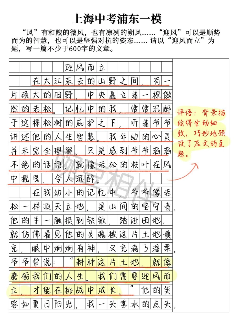 别具一格️中考一模高分作文《迎风而立》_中小学精品资料(高清可打印)_初中大全集高清资料整理版