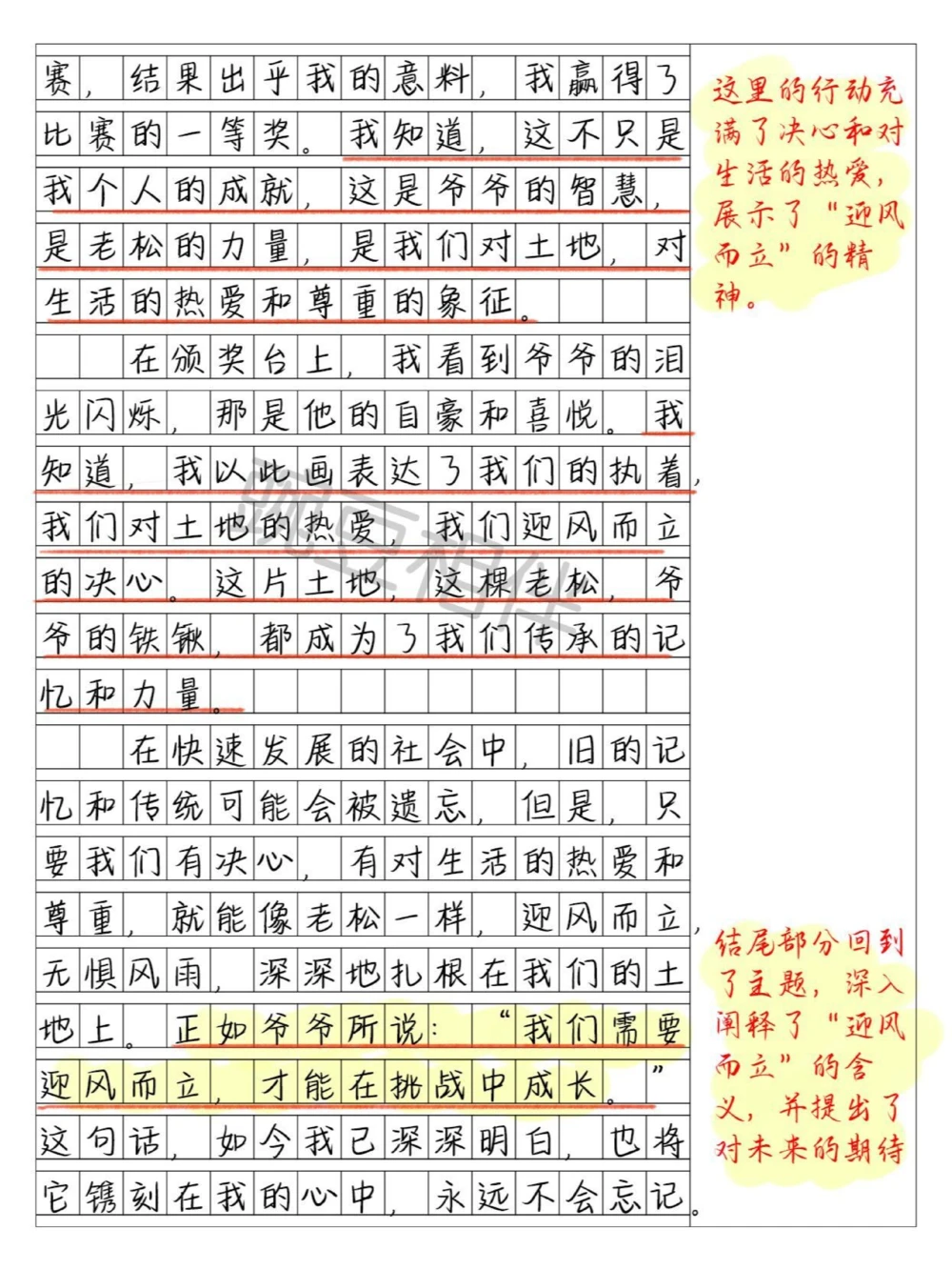 别具一格️中考一模高分作文《迎风而立》_中小学精品资料(高清可打印)_初中大全集高清资料整理版