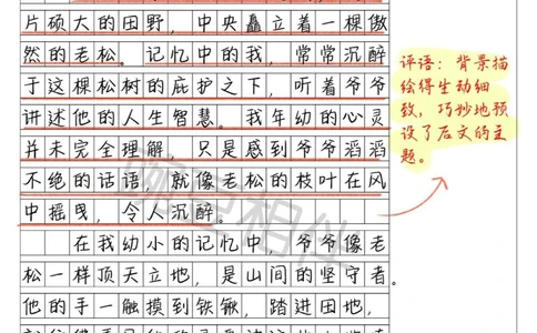 别具一格️中考一模高分作文《迎风而立》_中小学精品资料(高清可打印)_初中大全集高清资料整理版