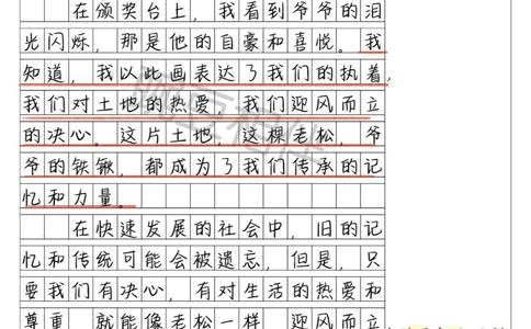 别具一格️中考一模高分作文《迎风而立》_中小学精品资料(高清可打印)_初中大全集高清资料整理版