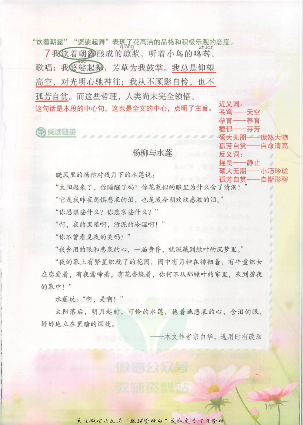 六年级上册语文部编版课堂笔记（抖音版）_小学初中学霸笔记类资料汇总6.33GB_小学同步课堂笔记2.76GB_1~6年级全册语文部编版课堂笔记