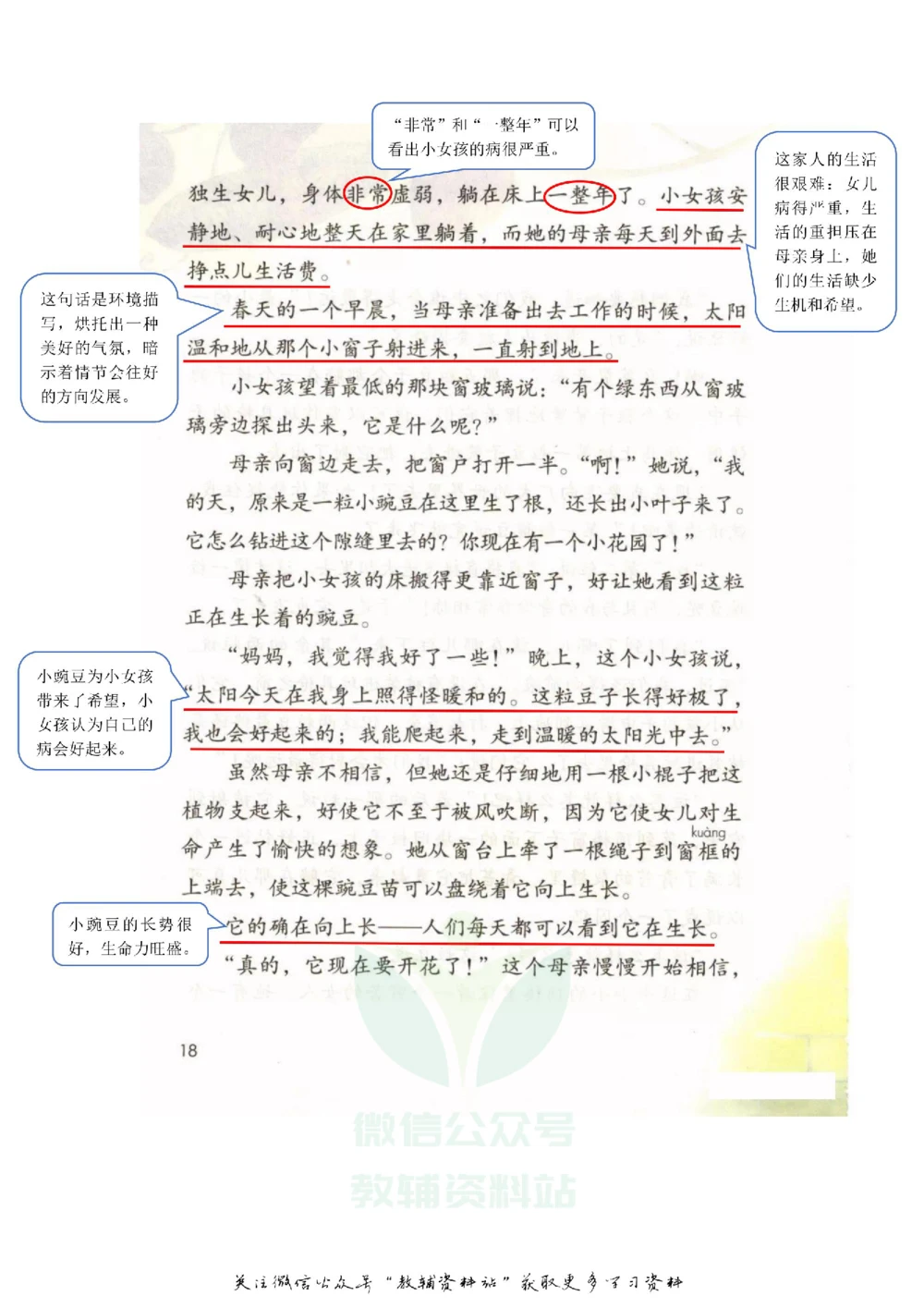 四年级上册语文部编版课堂笔记（飞翔版）_小学初中学霸笔记类资料汇总6.33GB_小学同步课堂笔记2.76GB_1~6年级全册语文部编版课堂笔记