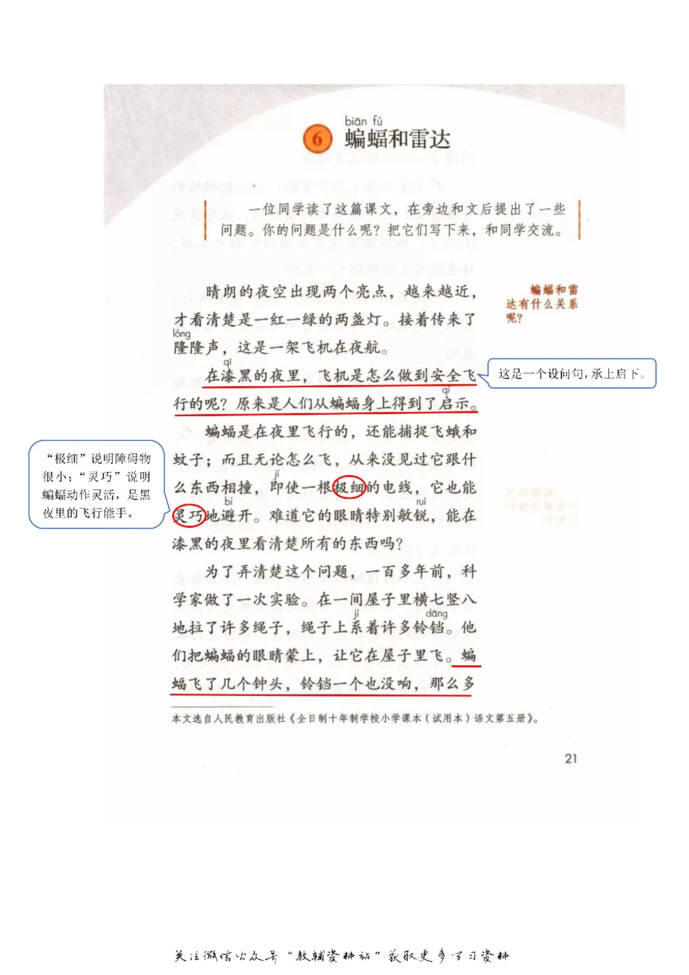 四年级上册语文部编版课堂笔记（飞翔版）_小学初中学霸笔记类资料汇总6.33GB_小学同步课堂笔记2.76GB_1~6年级全册语文部编版课堂笔记