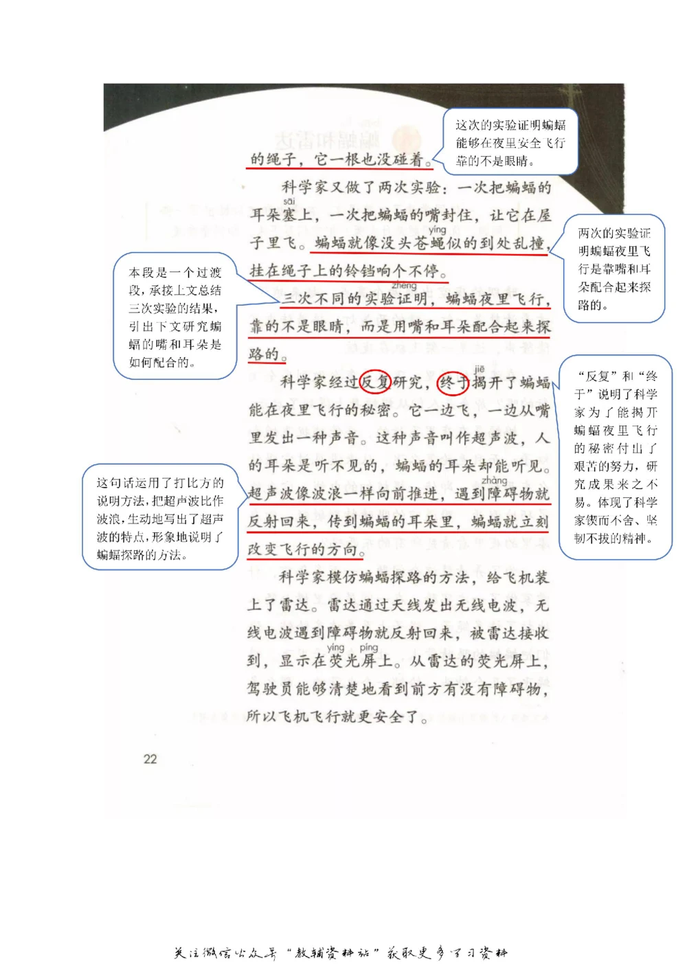 四年级上册语文部编版课堂笔记（飞翔版）_小学初中学霸笔记类资料汇总6.33GB_小学同步课堂笔记2.76GB_1~6年级全册语文部编版课堂笔记