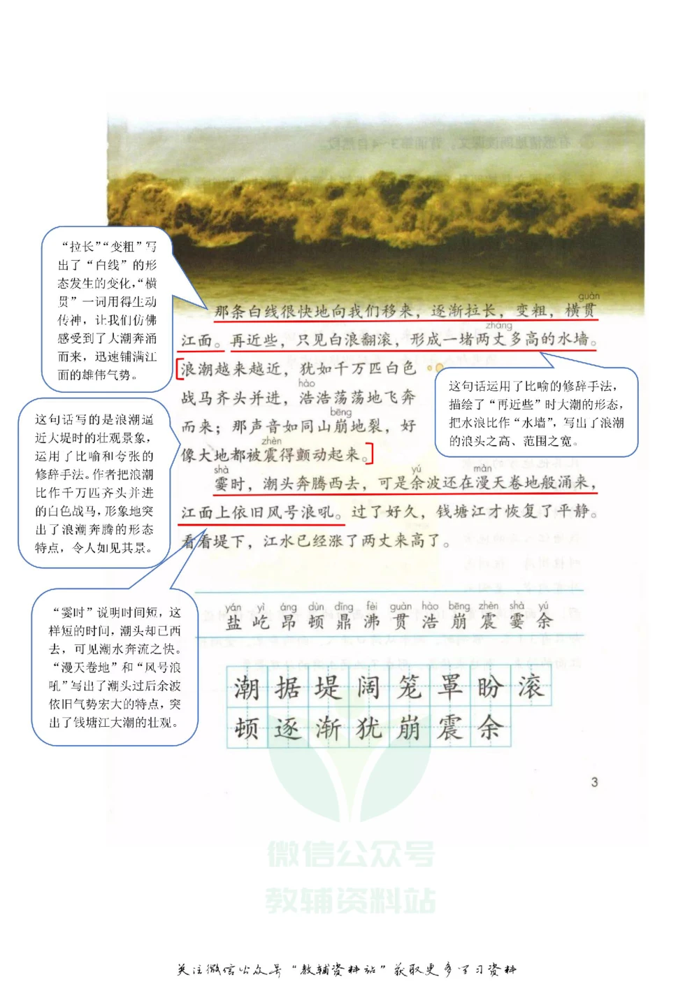 四年级上册语文部编版课堂笔记（飞翔版）_小学初中学霸笔记类资料汇总6.33GB_小学同步课堂笔记2.76GB_1~6年级全册语文部编版课堂笔记