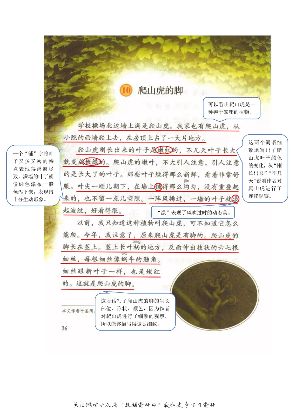 四年级上册语文部编版课堂笔记（飞翔版）_小学初中学霸笔记类资料汇总6.33GB_小学同步课堂笔记2.76GB_1~6年级全册语文部编版课堂笔记