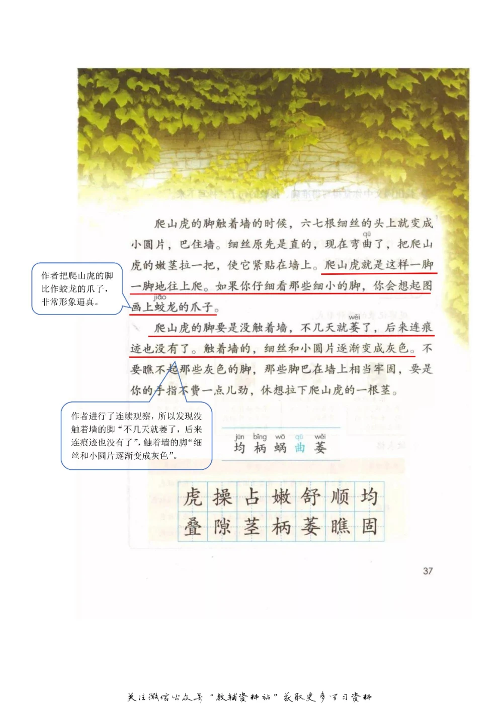 四年级上册语文部编版课堂笔记（飞翔版）_小学初中学霸笔记类资料汇总6.33GB_小学同步课堂笔记2.76GB_1~6年级全册语文部编版课堂笔记