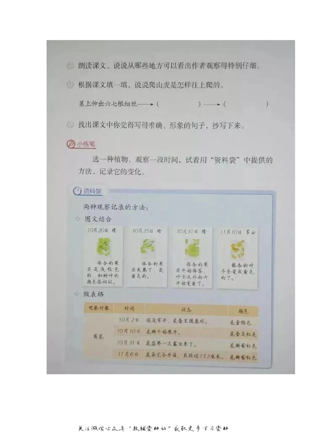 四年级上册语文部编版课堂笔记（飞翔版）_小学初中学霸笔记类资料汇总6.33GB_小学同步课堂笔记2.76GB_1~6年级全册语文部编版课堂笔记