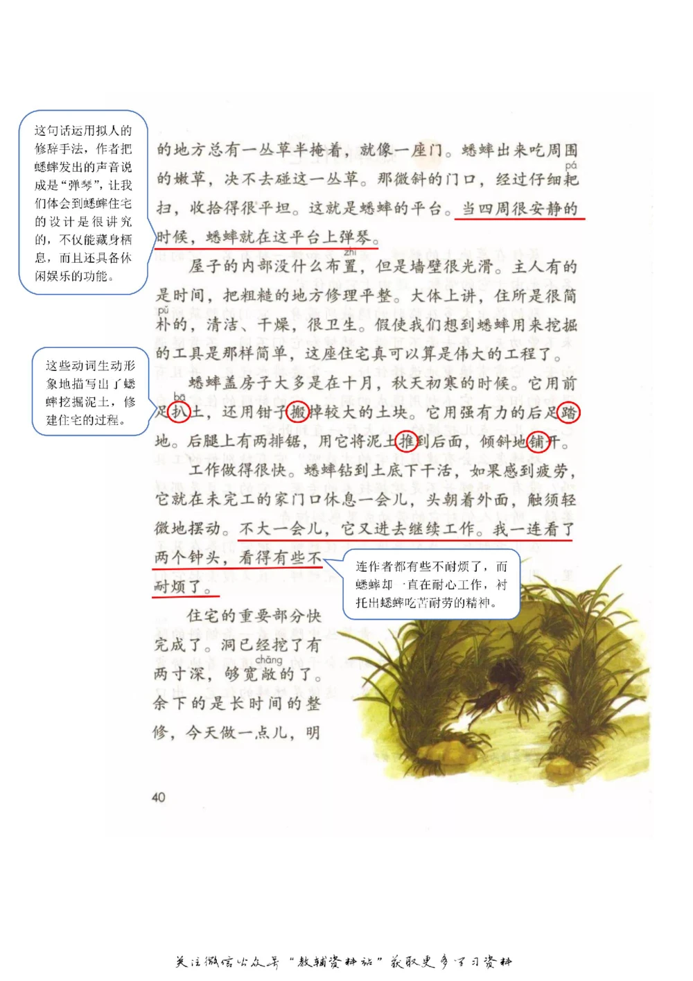 四年级上册语文部编版课堂笔记（飞翔版）_小学初中学霸笔记类资料汇总6.33GB_小学同步课堂笔记2.76GB_1~6年级全册语文部编版课堂笔记