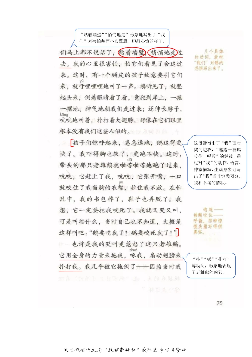四年级上册语文部编版课堂笔记（飞翔版）_小学初中学霸笔记类资料汇总6.33GB_小学同步课堂笔记2.76GB_1~6年级全册语文部编版课堂笔记