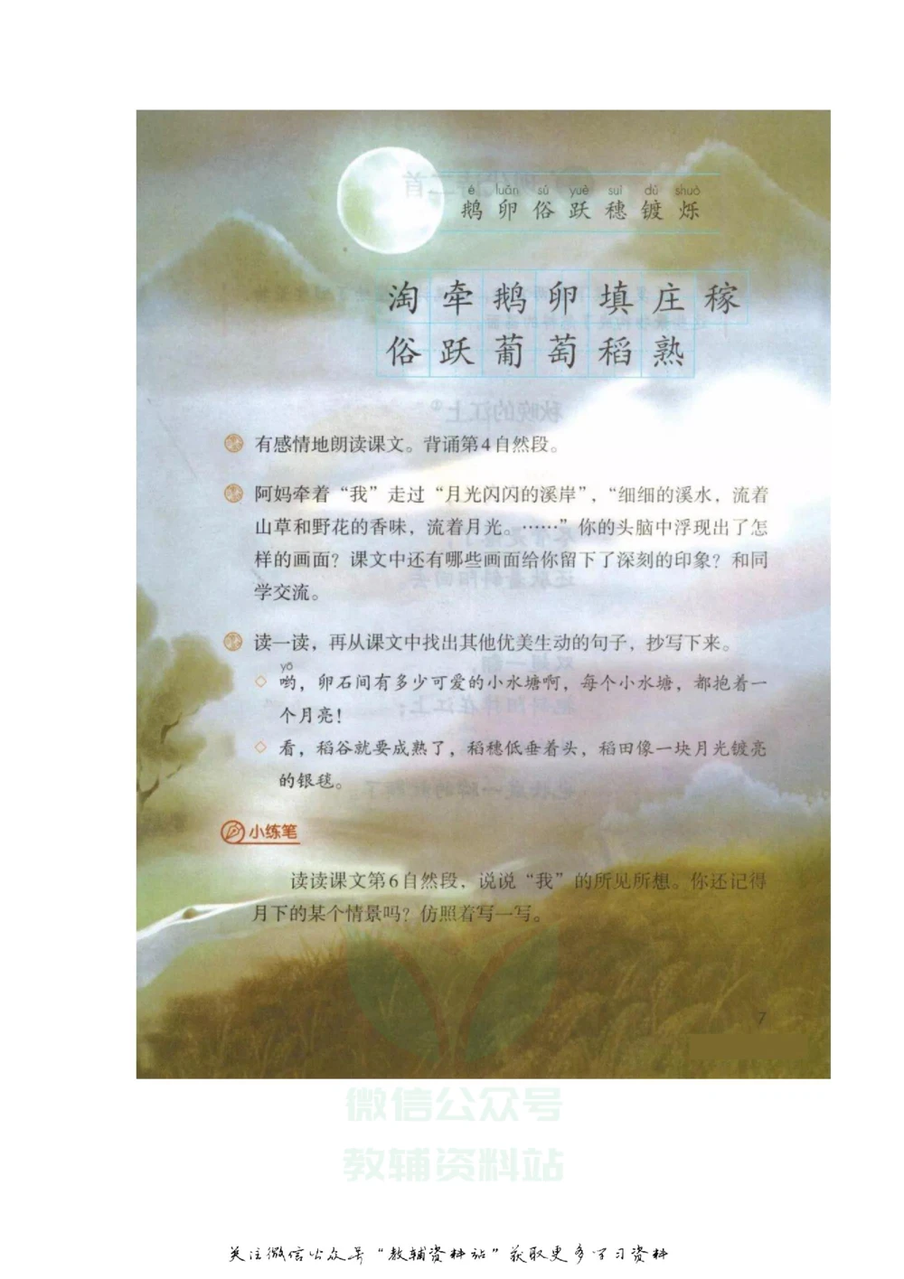 四年级上册语文部编版课堂笔记（飞翔版）_小学初中学霸笔记类资料汇总6.33GB_小学同步课堂笔记2.76GB_1~6年级全册语文部编版课堂笔记